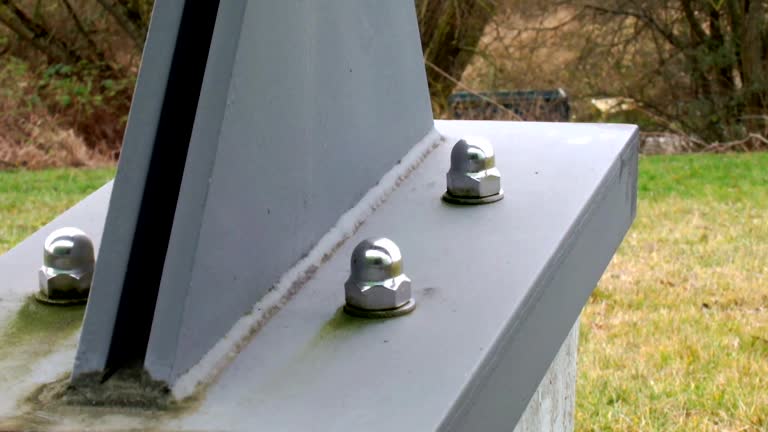 Best Biohazard Mold Removal  in Lake Success, NY